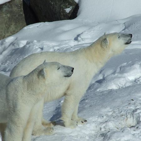 Lapland Igloo 호텔 라누아 외부 사진