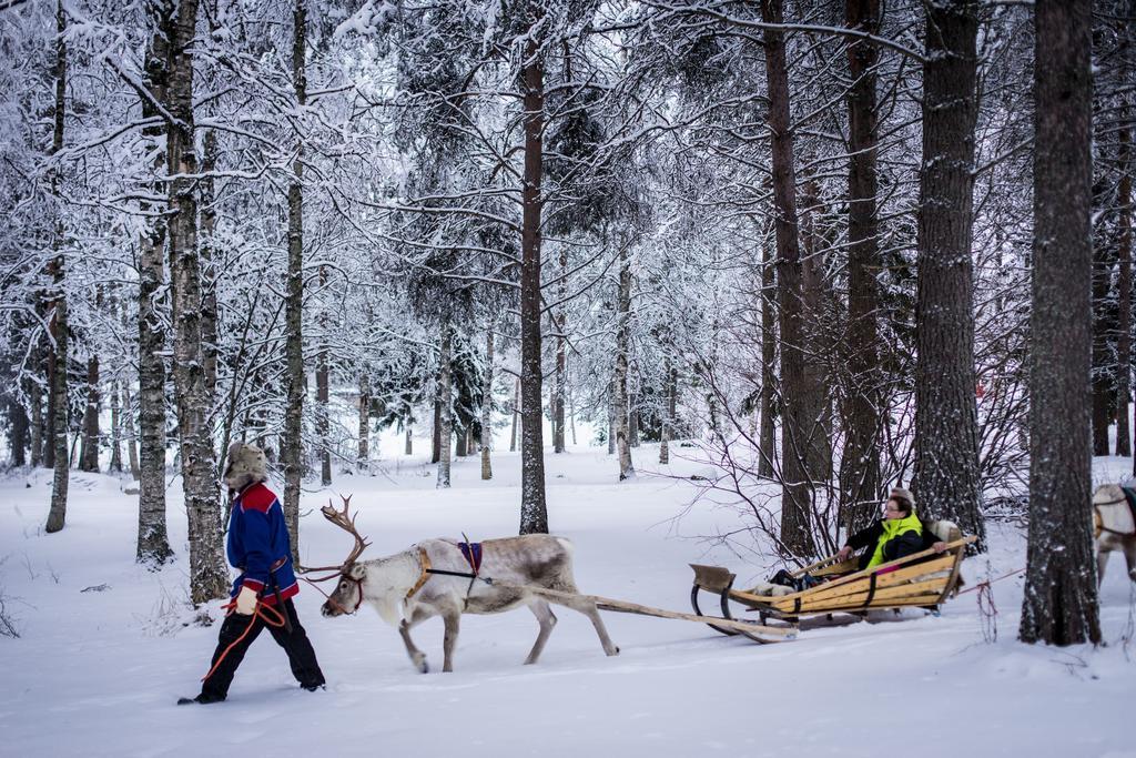 Lapland Igloo 호텔 라누아 외부 사진