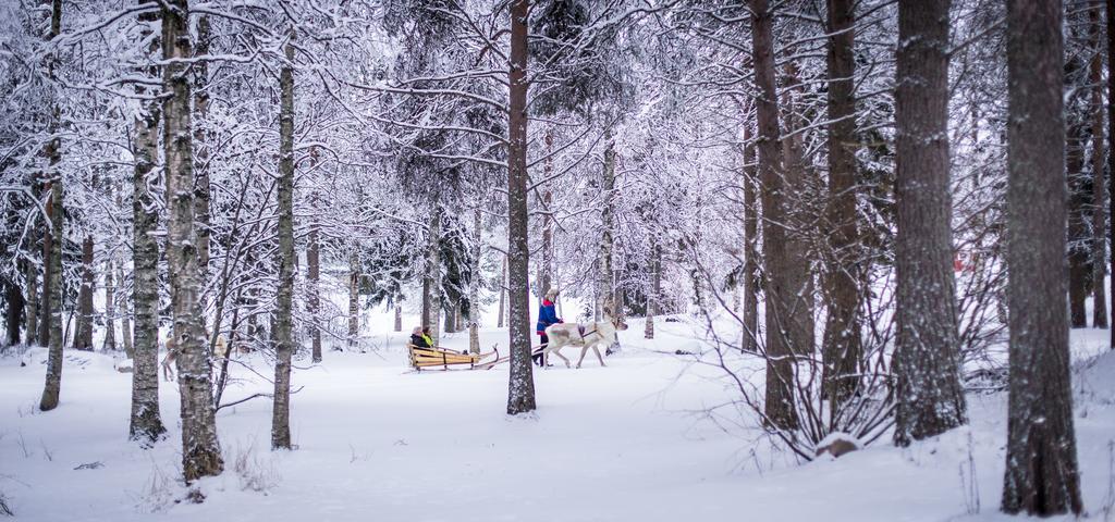 Lapland Igloo 호텔 라누아 외부 사진