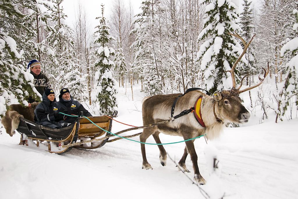 Lapland Igloo 호텔 라누아 외부 사진